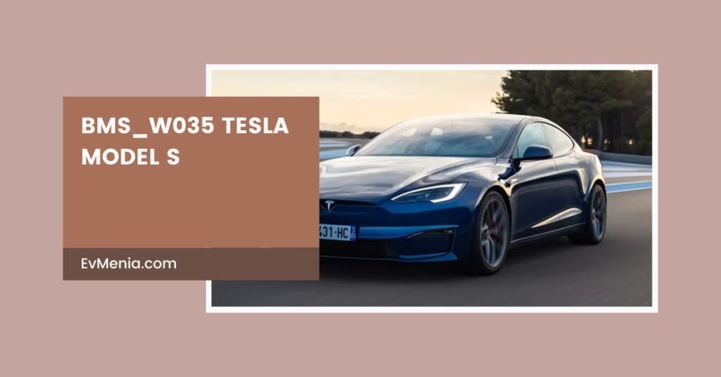 bms_w035 tesla model s